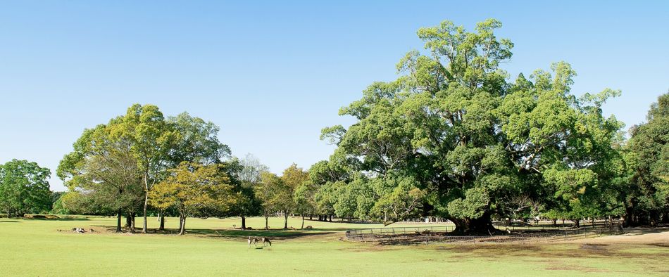 信頼の品質と魅力的な品揃い・豊かな食材と美味しい店創り