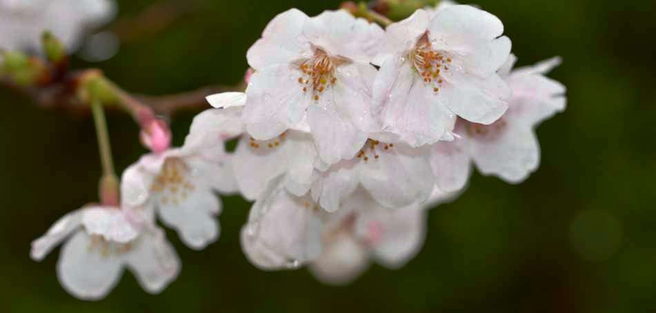 信頼の品質と魅力的な品揃い・豊かな食材と美味しい店創り