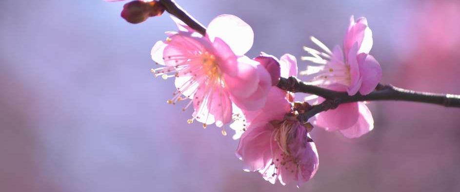 信頼の品質と魅力的な品揃い・豊かな食材と美味しい店創り